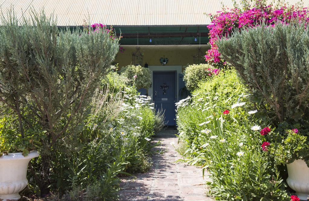 Somerset Stables Graaff Reinet Luaran gambar