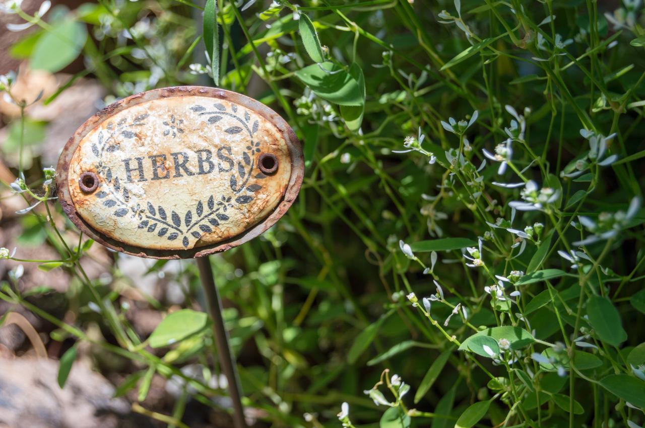Somerset Stables Graaff Reinet Luaran gambar