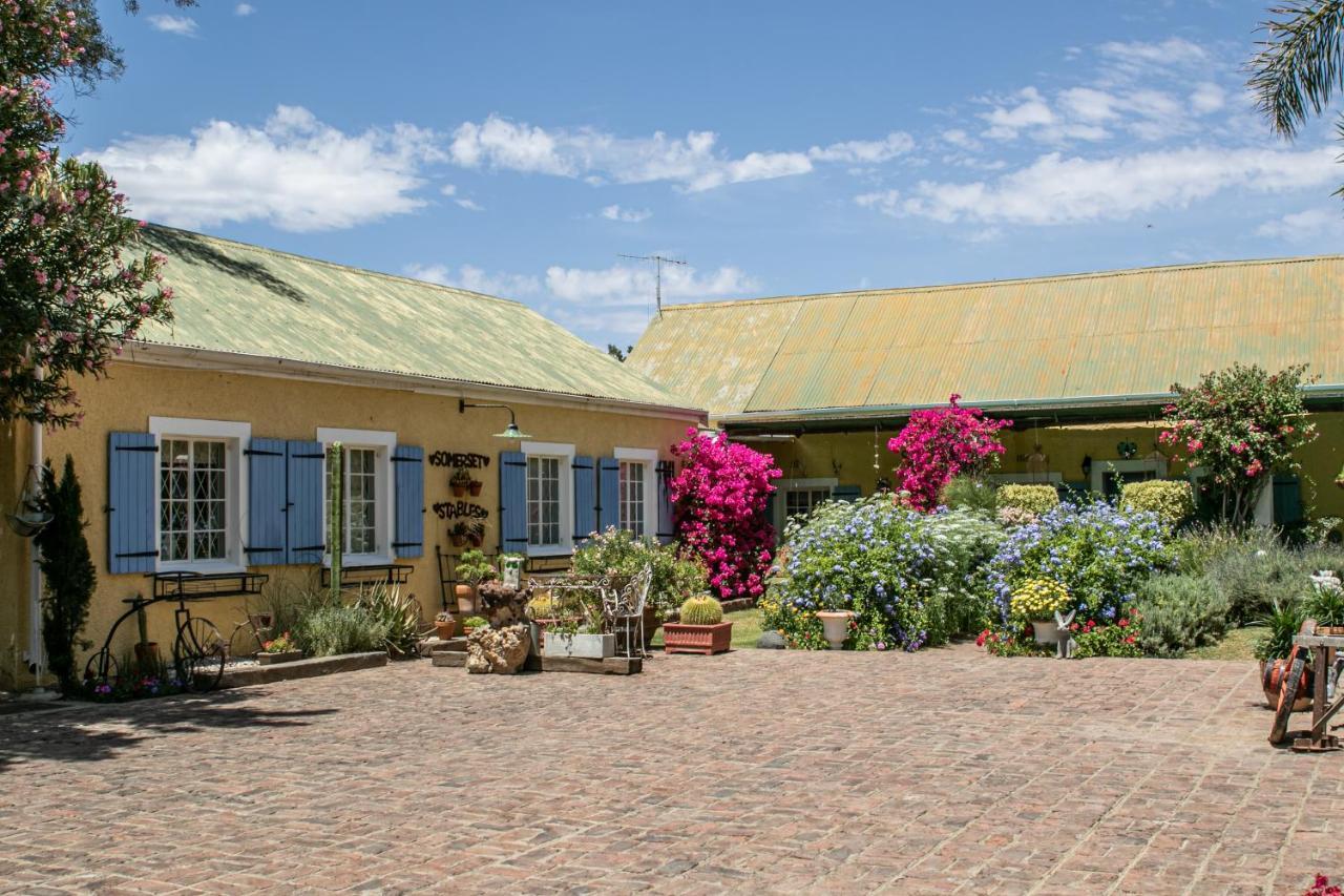 Somerset Stables Graaff Reinet Luaran gambar